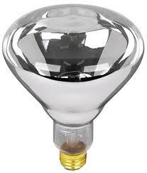 HEAT LAMP BULB WHITE